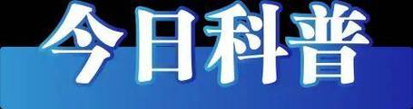 2025年1月28日 第17页