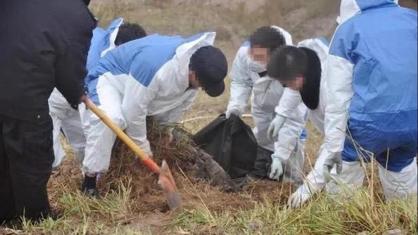 今日科普一下！三兄弟聚会踩空骨折,百科词条爱好_2024最新更新