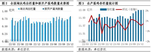 今日科普一下！蛋价飞涨有人养鸡,百科词条爱好_2024最新更新